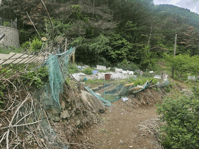 경상북도 청도군 매전면 동산리 653 전 경매 사진 1