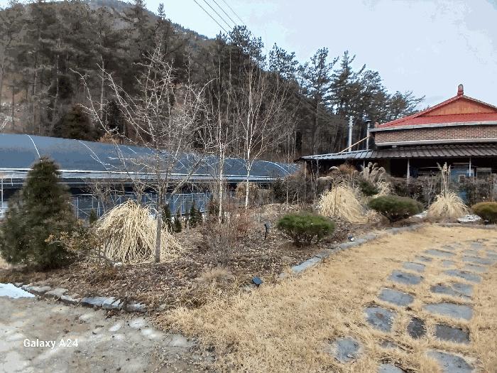 전라남도 화순군 이양면 강성리 856-49 주택 경매 사진 17