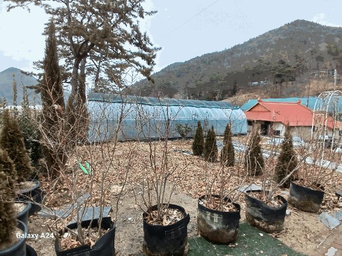 전라남도 화순군 이양면 강성리 856-49 주택 경매 사진 19