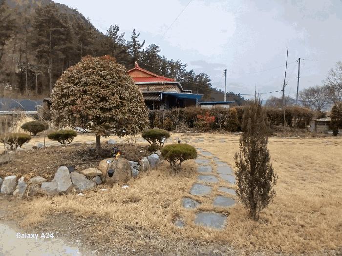 전라남도 화순군 이양면 강성리 856-49 주택 경매 사진 5