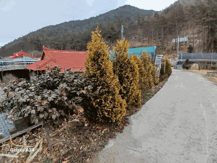 전라남도 화순군 이양면 강성리 856-49 주택 경매 사진 9