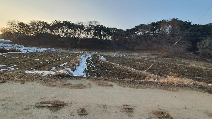 광주광역시 북구 충효동 294 답 경매 사진 2