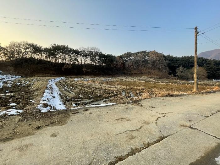 광주광역시 북구 충효동 294 답 경매 사진 3