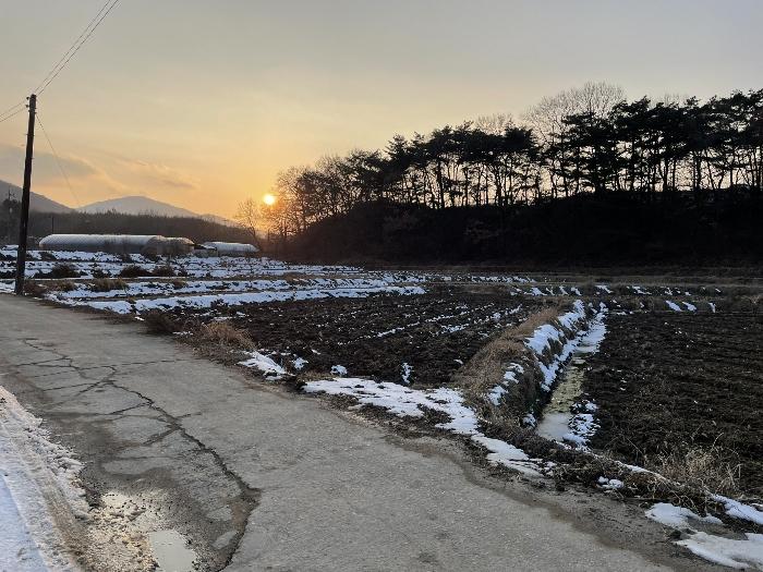 광주광역시 북구 충효동 294 답 경매 사진 4
