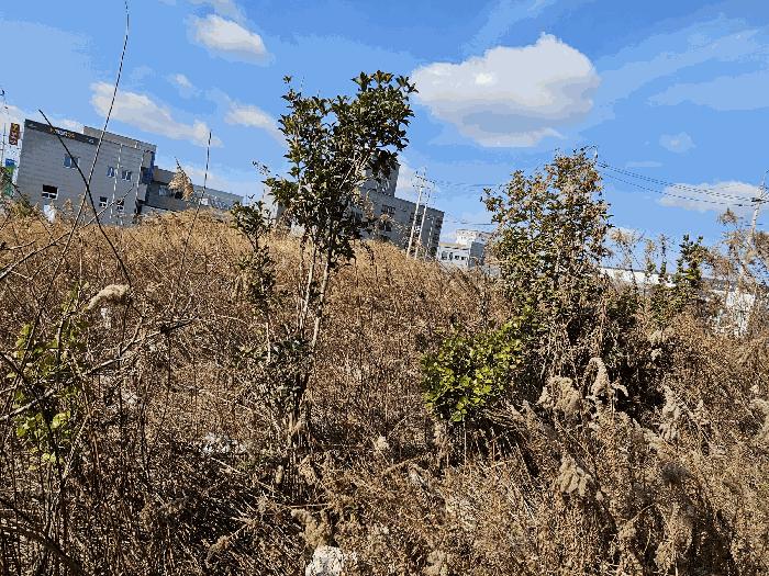 광주광역시 광산구 고룡동 1014 공장 경매 사진 12