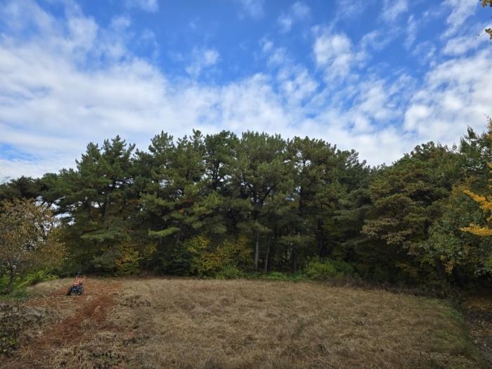 전북특별자치도 익산시 용동면 대조리 산208 임야 경매 사진 2