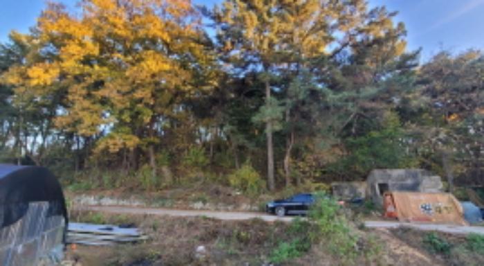 전북특별자치도 익산시 용동면 대조리 산208 임야 경매 사진 5