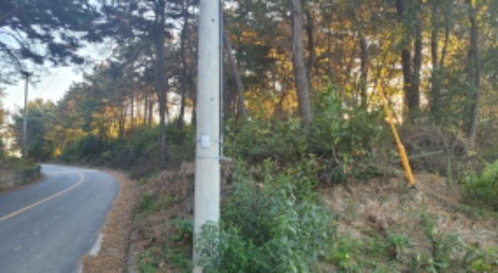 전북특별자치도 익산시 용동면 대조리 산208 임야 경매 사진 7