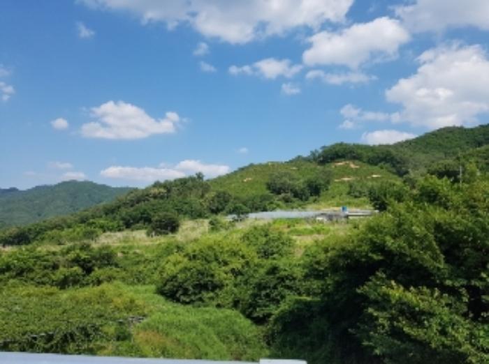 강원특별자치도 화천군 상서면 다목리 17-14 주택 경매 사진 14