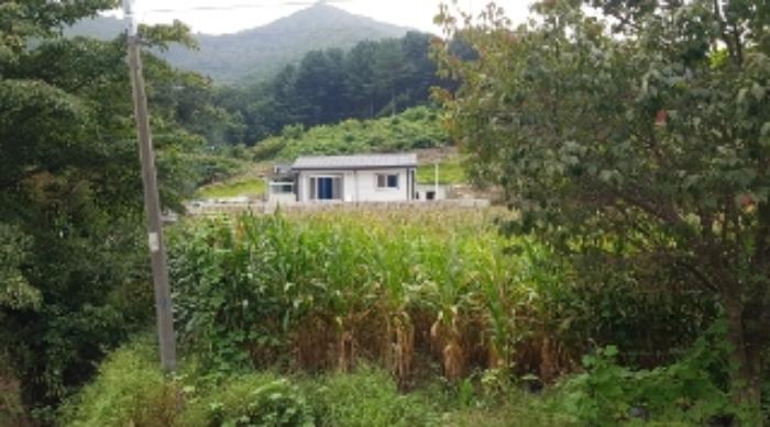 강원특별자치도 화천군 상서면 다목리 17-14 주택 경매 사진 4