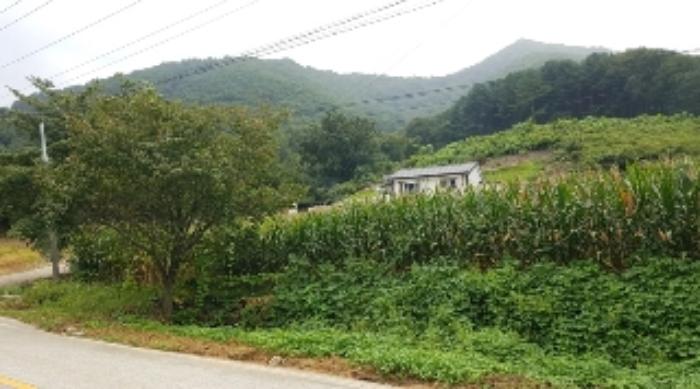 강원특별자치도 화천군 상서면 봉오리 산147-1 임야 경매 사진 1