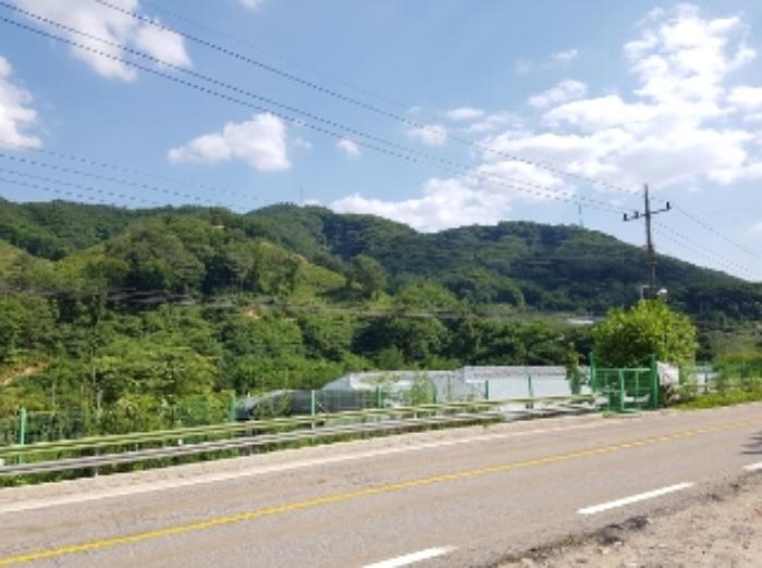 강원특별자치도 화천군 상서면 봉오리 산147-1 임야 경매 사진 16