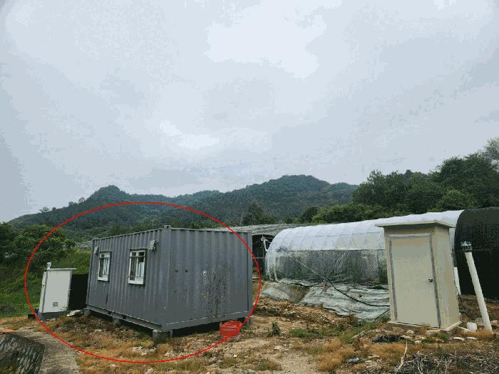 강원특별자치도 홍천군 화촌면 장평리 254 전 경매 사진 1