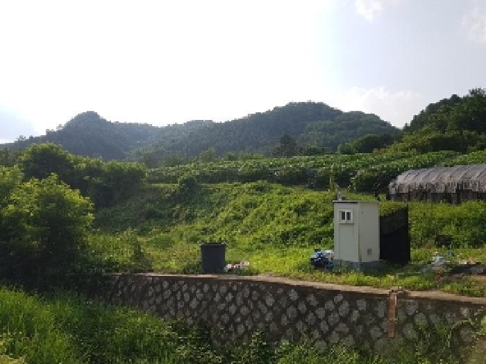 강원특별자치도 홍천군 화촌면 장평리 254 전 경매 사진 7