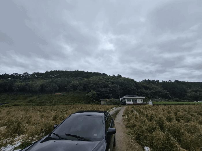 강원특별자치도 홍천군 두촌면 철정리 산56-2 임야 경매 사진 3