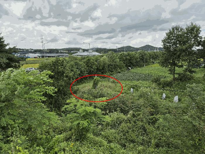 경기도 평택시 청북읍 백봉리 338-7 전 경매 사진 2
