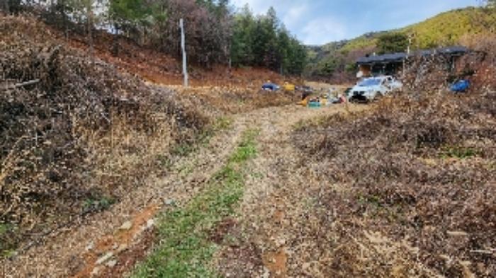 충청북도 제천시 백운면 원월리 200-4 근린시설 경매 사진 10