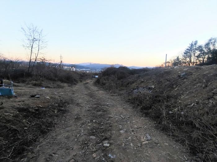 충청북도 제천시 봉양읍 미당리 931-6 과수원 경매 사진 4