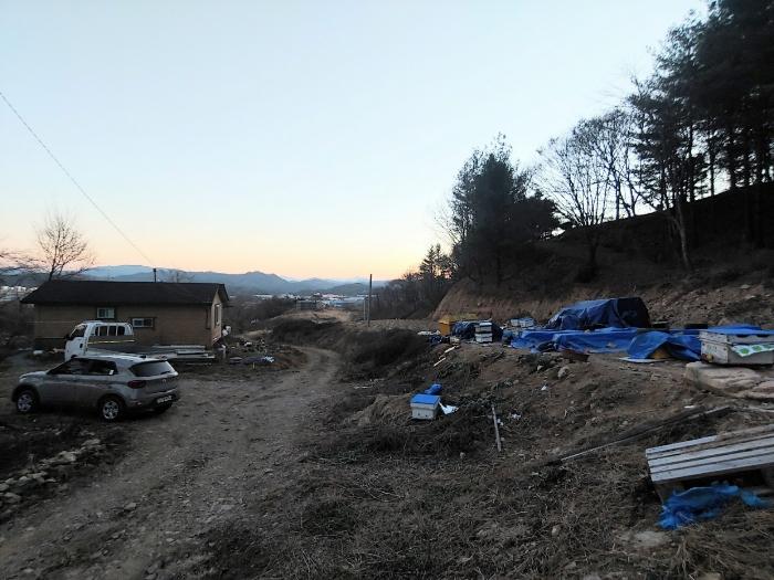충청북도 제천시 봉양읍 미당리 931-6 과수원 경매 사진 5