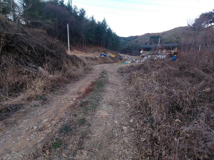 충청북도 제천시 백운면 평동리 444-20 임야 경매 사진 8
