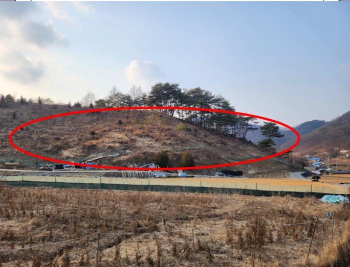 충청북도 제천시 수산면 구곡리 72-4 임야 경매 사진 12