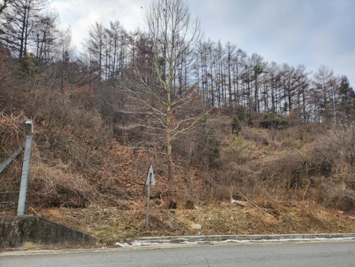 충청북도 제천시 수산면 구곡리 72-4 임야 경매 사진 19