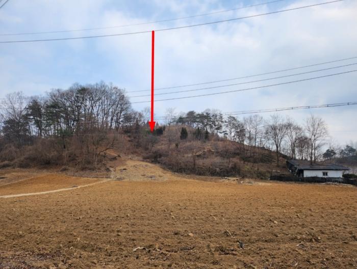충청북도 제천시 수산면 구곡리 72-4 임야 경매 사진 21