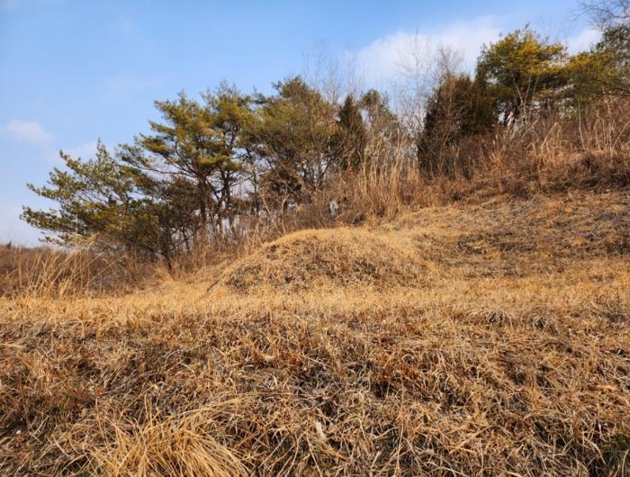충청북도 제천시 수산면 구곡리 72-4 임야 경매 사진 24