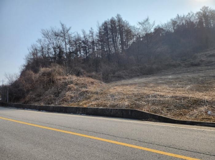 충청북도 제천시 수산면 구곡리 72-4 임야 경매 사진 30