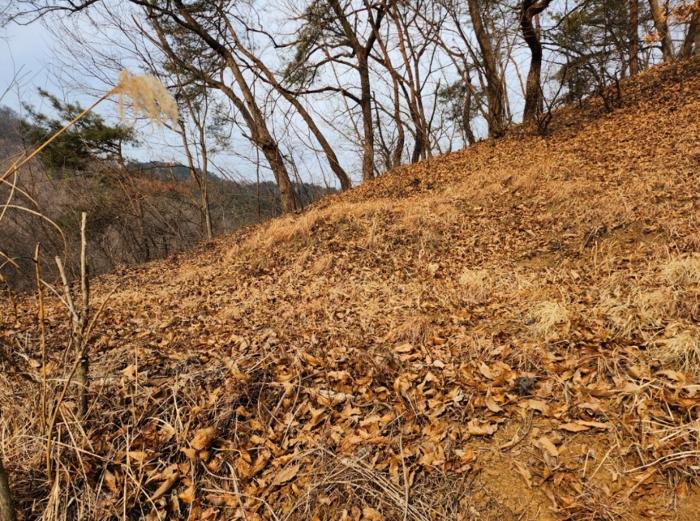 충청북도 제천시 수산면 구곡리 72-4 임야 경매 사진 31