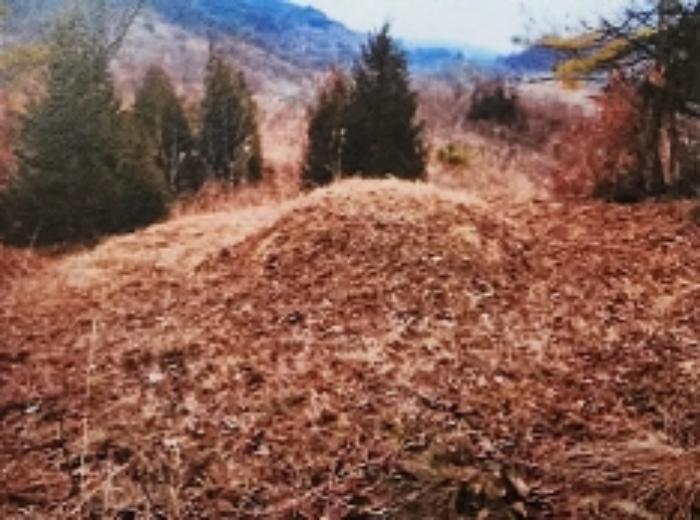 충청북도 제천시 수산면 구곡리 72-4 임야 경매 사진 37