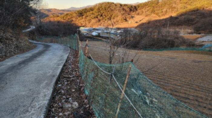 충청북도 제천시 수산면 구곡리 72-4 임야 경매 사진 38