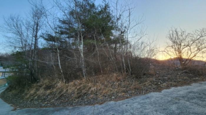 충청북도 제천시 수산면 구곡리 72-4 임야 경매 사진 43