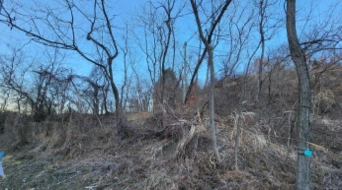 충청북도 제천시 수산면 구곡리 72-4 임야 경매 사진 49