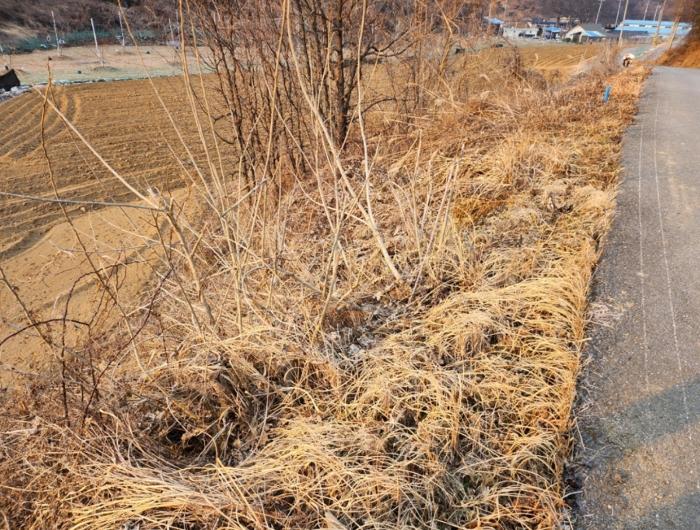 충청북도 제천시 수산면 구곡리 72-4 임야 경매 사진 5