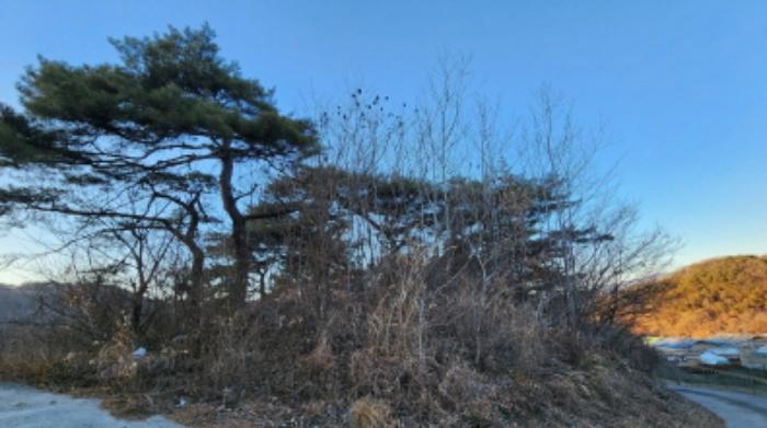 충청북도 제천시 수산면 구곡리 72-4 임야 경매 사진 53