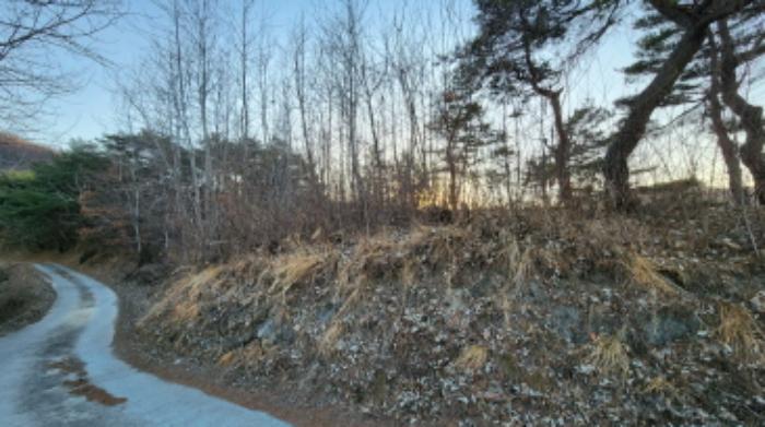 충청북도 제천시 수산면 구곡리 72-4 임야 경매 사진 54