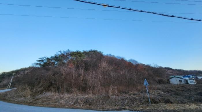 충청북도 제천시 수산면 구곡리 72-4 임야 경매 사진 58