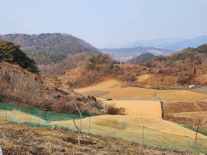 충청북도 제천시 수산면 구곡리 72-4 임야 경매 사진 63