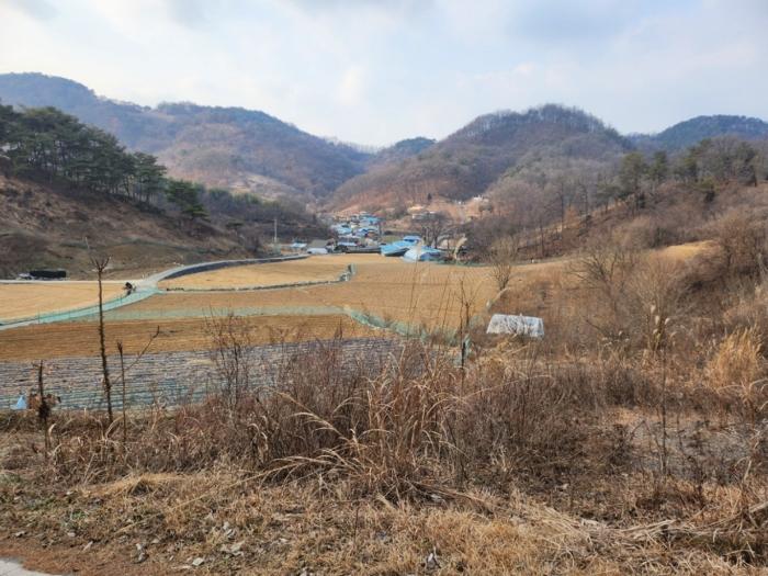 충청북도 제천시 수산면 구곡리 72-4 임야 경매 사진 9