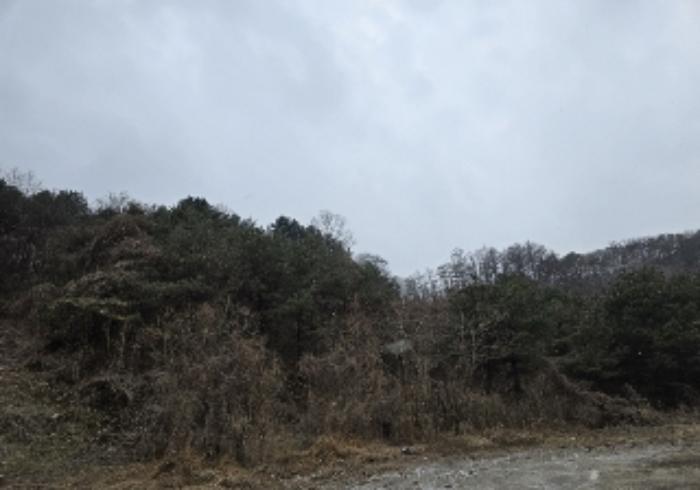 충청북도 충주시 대소원면 대소리 72-13 공장 경매 사진 6