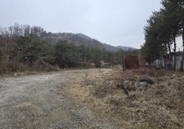 충청북도 충주시 살미면 세성리 431-1 도로 경매 사진 8