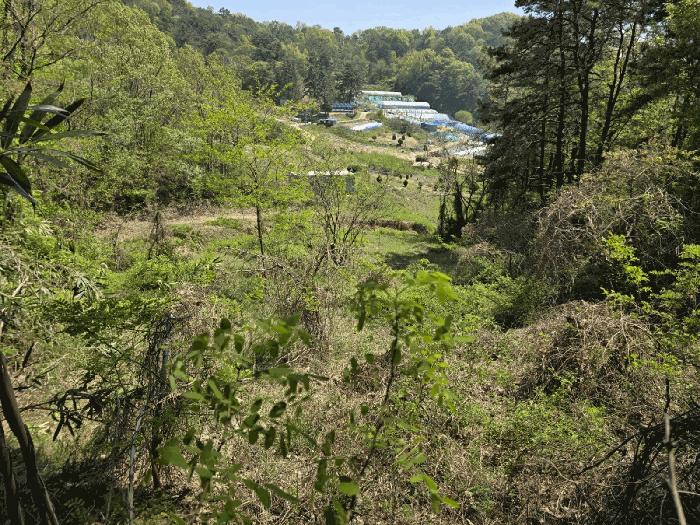 전북특별자치도 군산시 나포면 나포리 산68-1 임야 경매 사진 5
