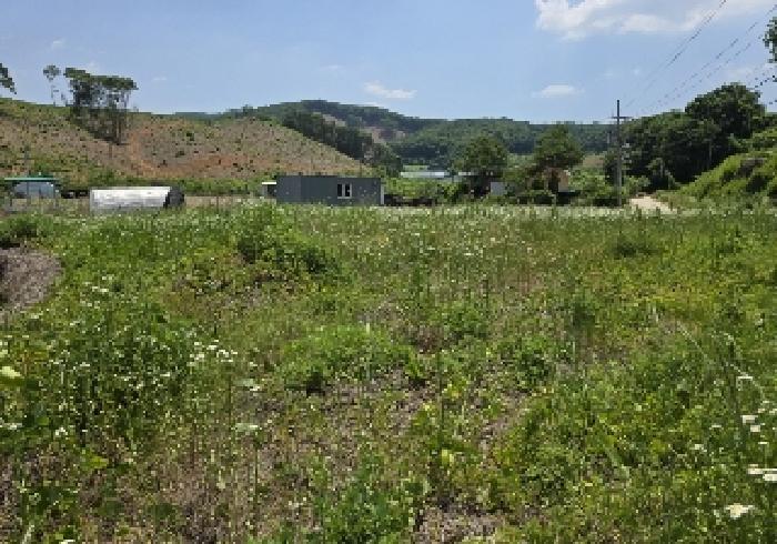 충청북도 음성군 감곡면 영산리 500-3 답 경매 사진 5