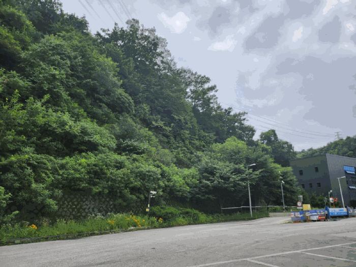 충청북도 음성군 감곡면 문촌리 산25-1 임야 경매 사진 7