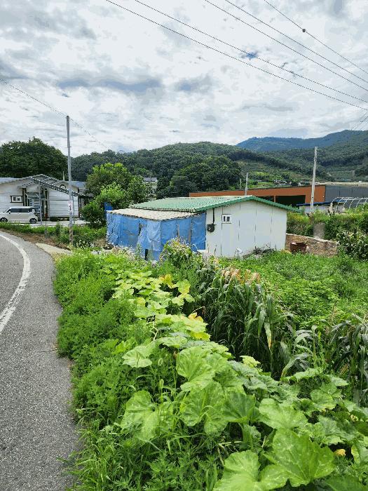 충청북도 음성군 음성읍 평곡리 205 구거 경매 사진 2