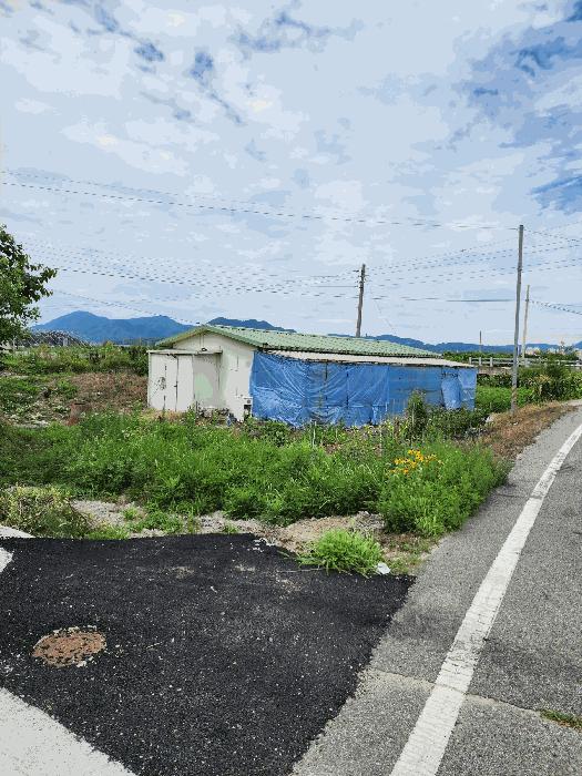 충청북도 음성군 음성읍 평곡리 205 구거 경매 사진 5