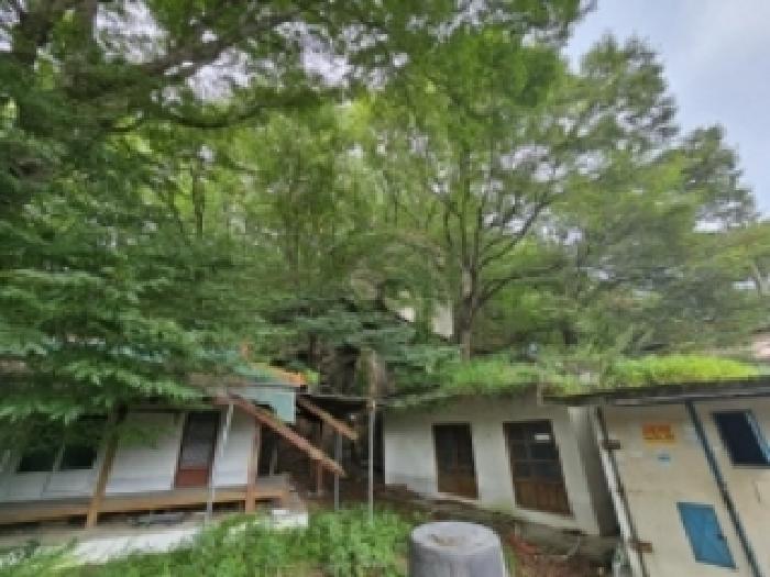 충청북도 단양군 대강면 성금리 산1 임야 경매 사진 10