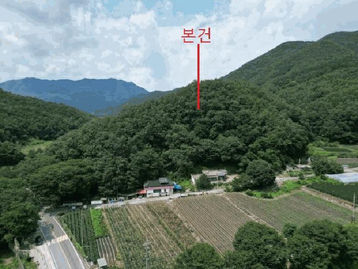 충청북도 단양군 대강면 성금리 산1 임야 경매 사진 12