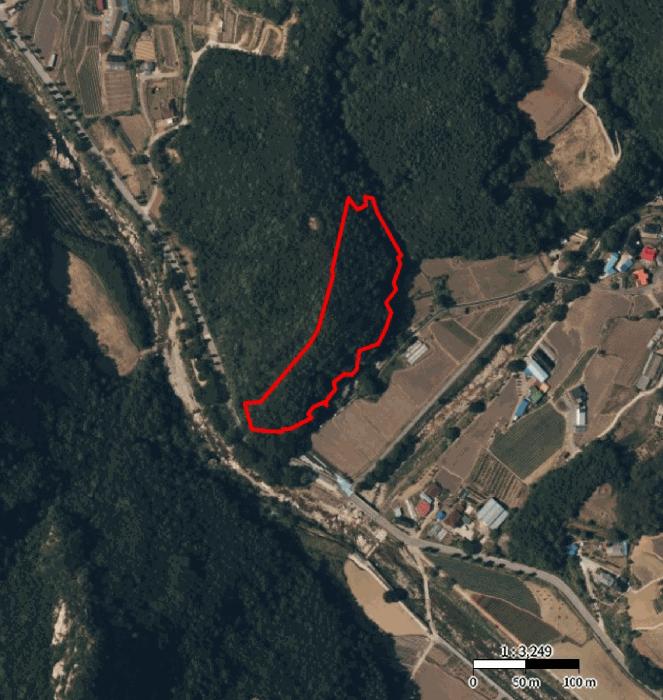 충청북도 단양군 대강면 성금리 산1 임야 경매 사진 13